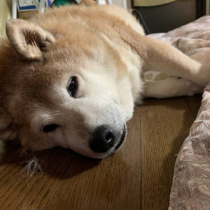 96fe32c4 c1a7 4e86 99a8 2aa0a38a312b 1624024714392