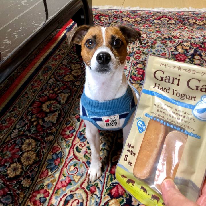 96fe3bc6 221c 42d5 ba3c 33dfbc3be14e 1602294311574