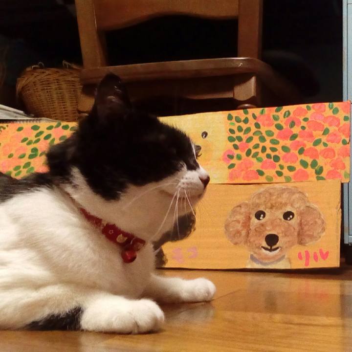 96fe73bc 8eec 4faf ad57 b76b5b286256 1523101382775