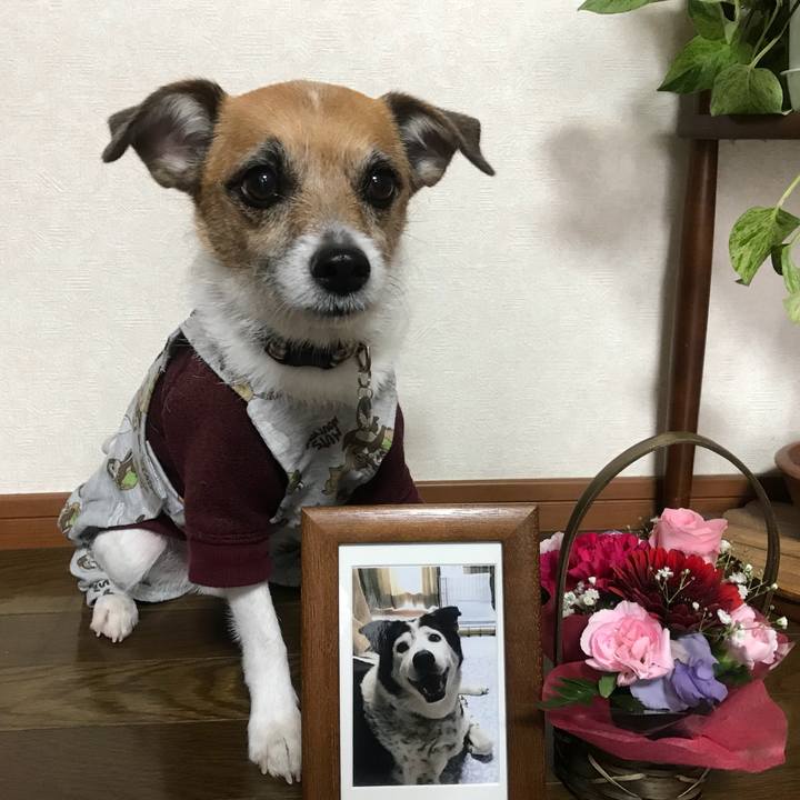 96fe7890 000b 454d 9c1b eec6bc82a2c0 1517182023757