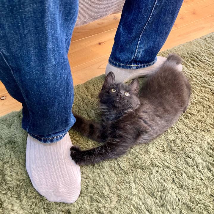 96fed3e6 bd9d 4ac1 a938 2a0b90d1f5cd 1699666191806