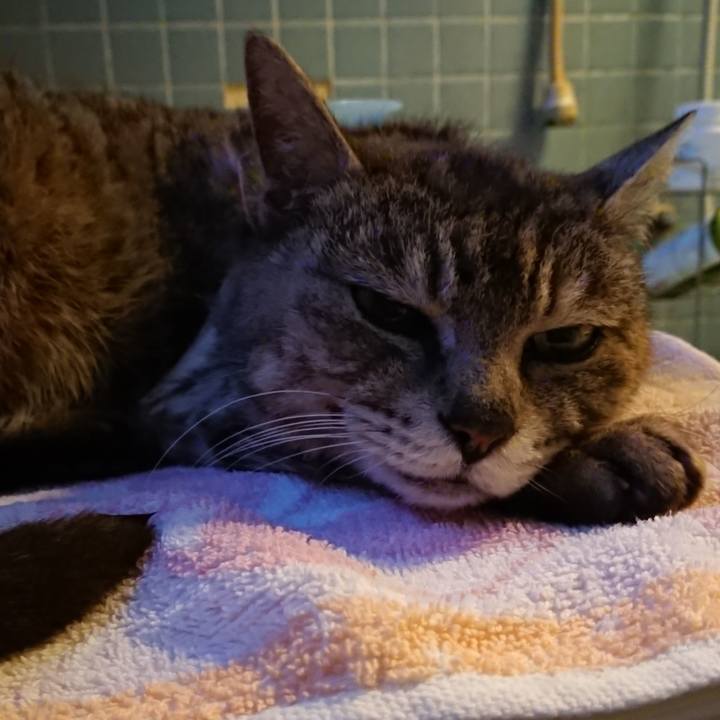 96feef28 6e7b 4b63 86c7 187a0898531b 1589967846635