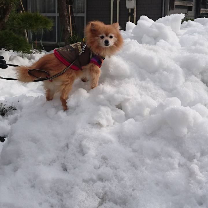 96fefbb7 48dc 4f8a 8184 a5a51da05369 1519253528793