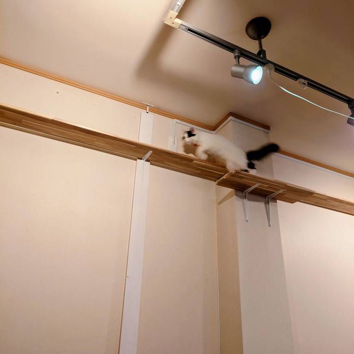 96ff37bd d98f 4633 8cbf 1d11fd277493 1765709020801