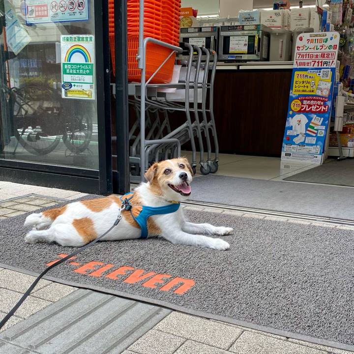 96ff4444 cf14 4f3b b11b d1407c5e2b07 1752369196668