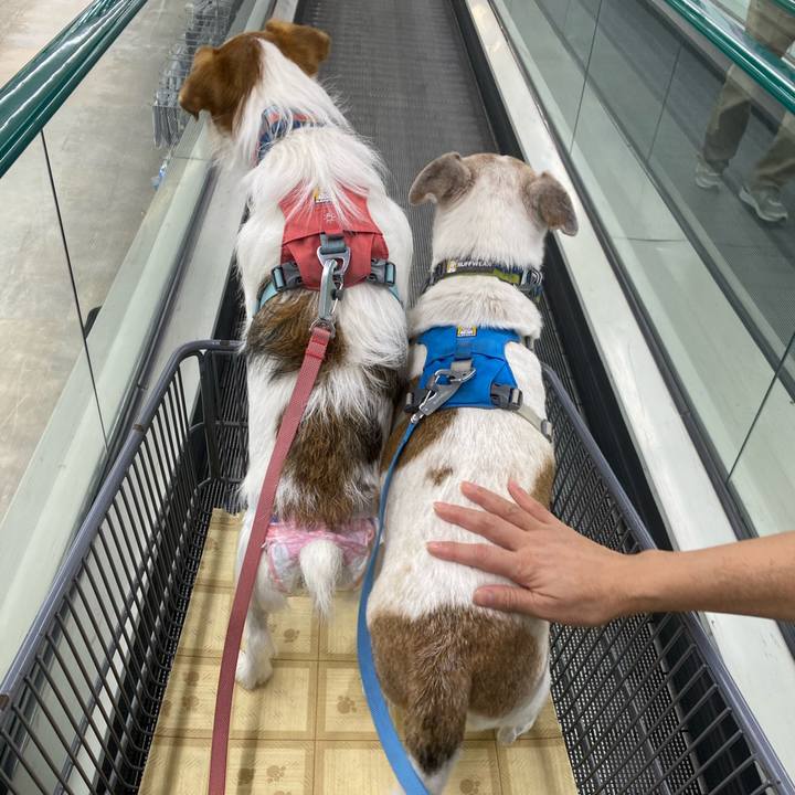 96ff461b aa71 4122 9197 67222e6a42ff 1696839105541