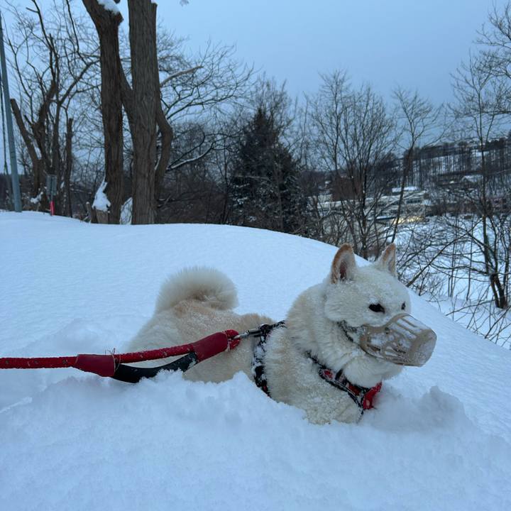 96ff6f4d d561 4ca3 bb16 85d1a3c34e6a 1768774755167