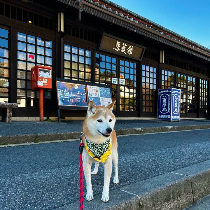 96ffc439 8eb0 4242 96ec d7ffe1348ab7 1763629040729