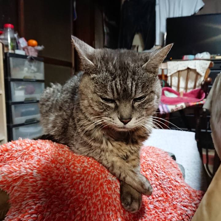 96ffdfd3 57b0 41da 920b 051b2a1aa3ea 1581882405263