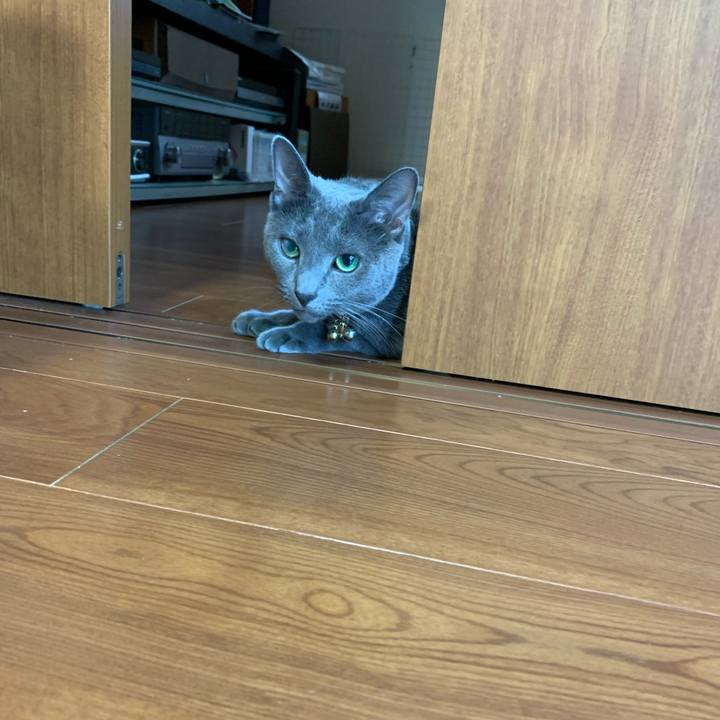 96fff456 c036 41a4 802e 0e3a82ee297d 1656483514426