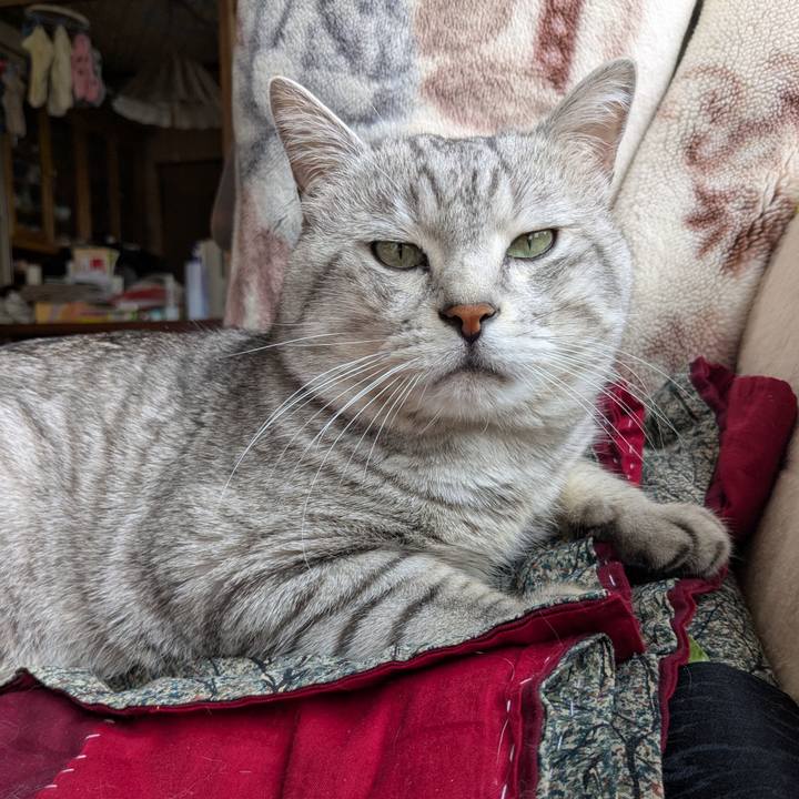 97000044 c64c 4d0d a142 f1d895f53b68 1744686339696