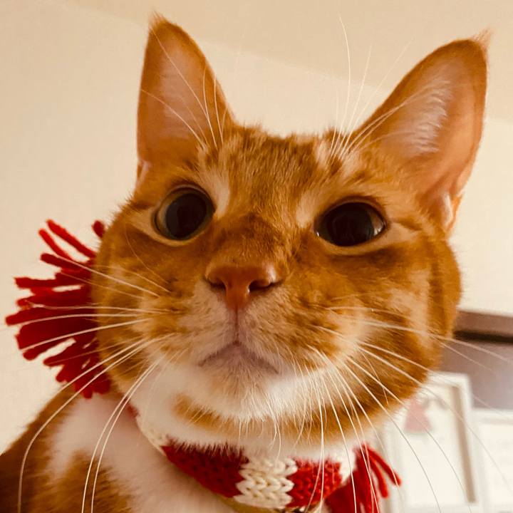 97001310 15b1 4716 8cf9 c54e755295ea 1608949282893