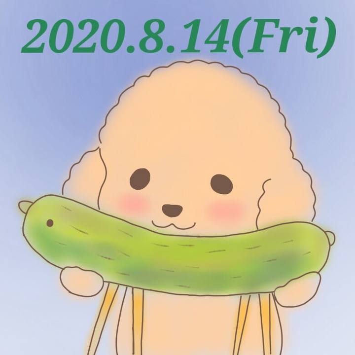 97002edc 04d3 40f4 b73b 774c4e866ee2 1597405038180