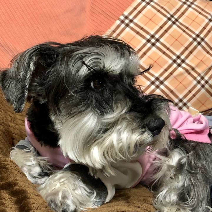 97004fb4 43d4 424f b81c 3aec92cebcb9 1681392998718