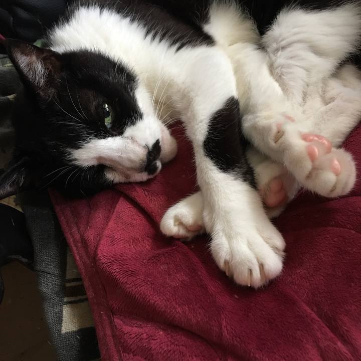 97005607 c042 44f0 9cbf 67f3c99d8554 1569725727438