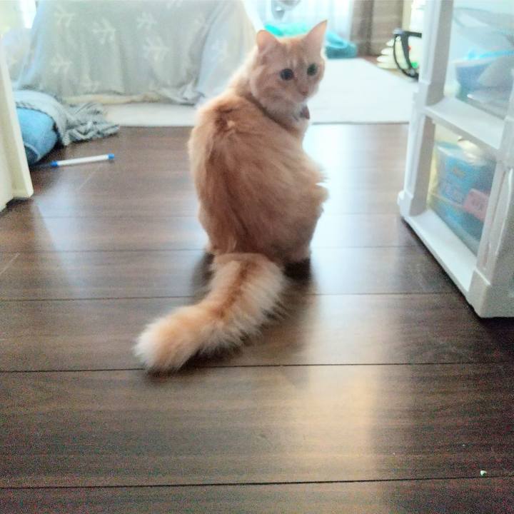 97005770 35d1 4c73 9aa8 cb16dd3c6433 1639183062878