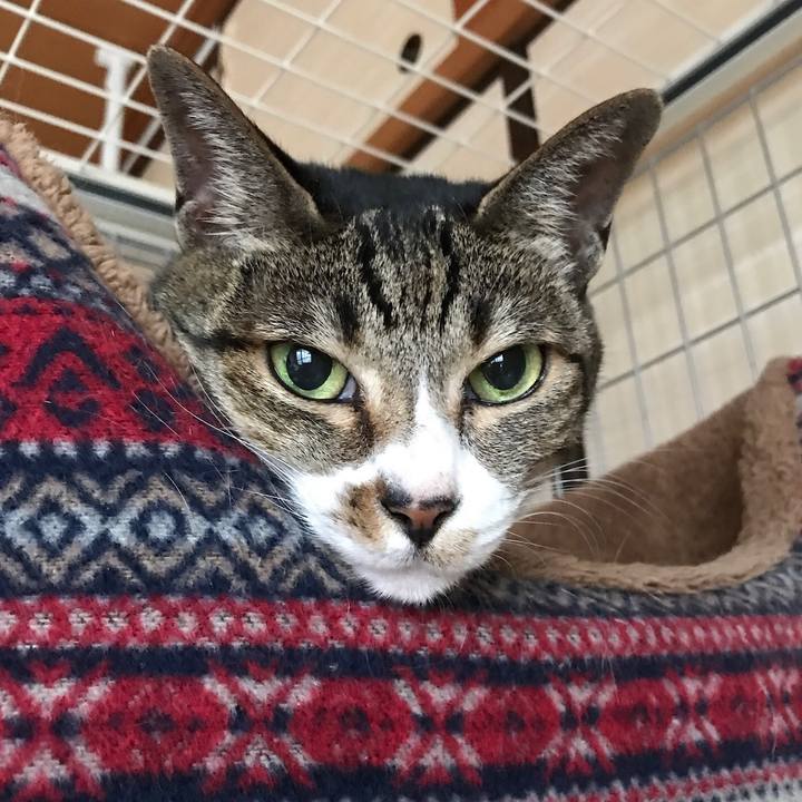 97006283 f03f 41ba b47c f3be67de5692 1509240765333