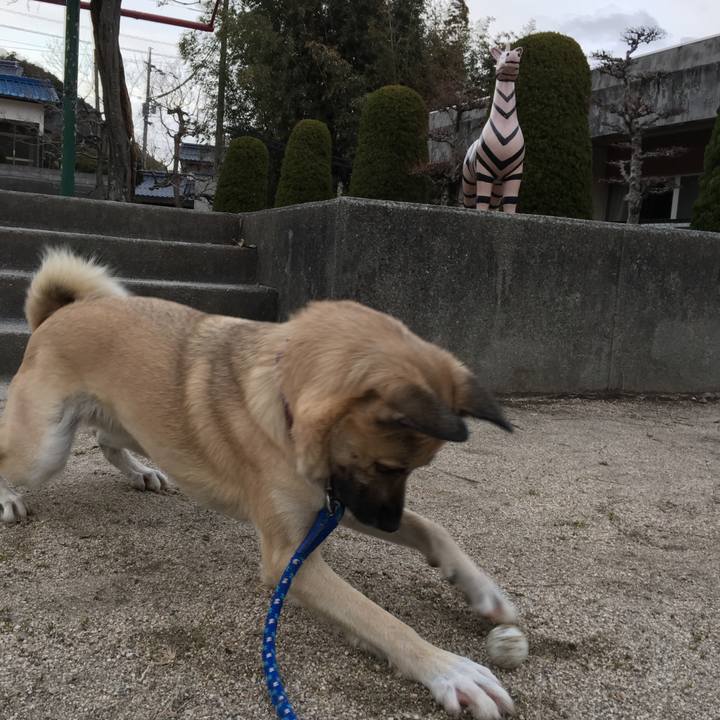 970067e7 dbe1 4baf be71 0a39e60ed4b0 1515921536775