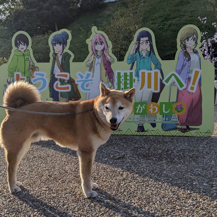 9700d50a 1d19 445b bc54 c30100b1feb4 1713519806729