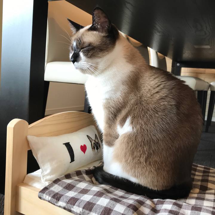 9700ebfb 8d48 4b3d 8a7e 89681f38e353 1539646794628