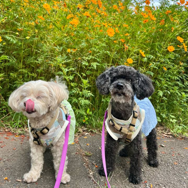 97012d5d fb24 478e 88b5 3ca6d670fde7 1758710769967