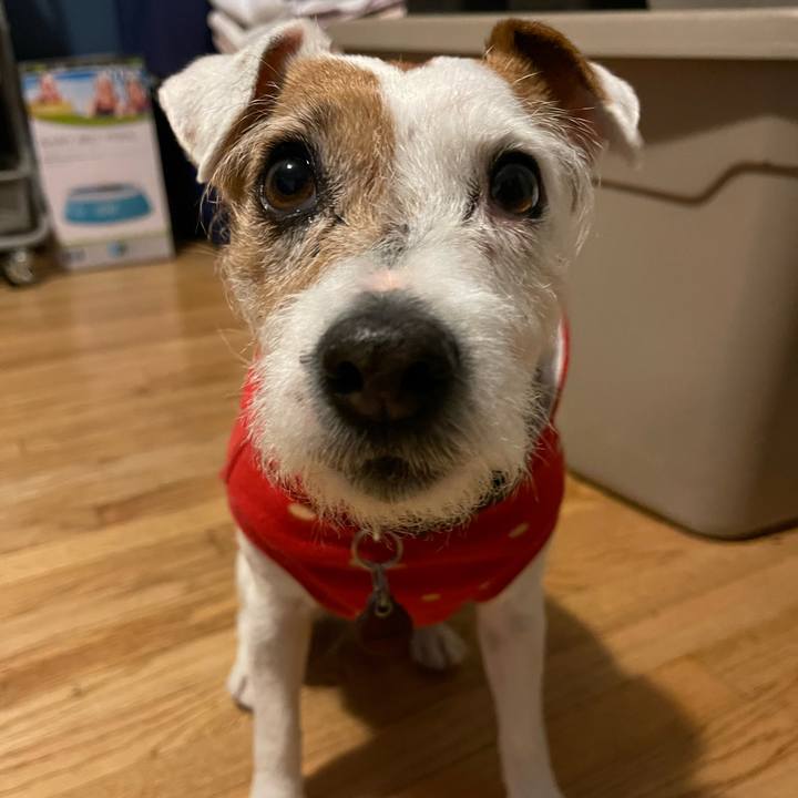 97013a6e 59f3 4b8c 8f7c 8530e0eed21a 1641051323334