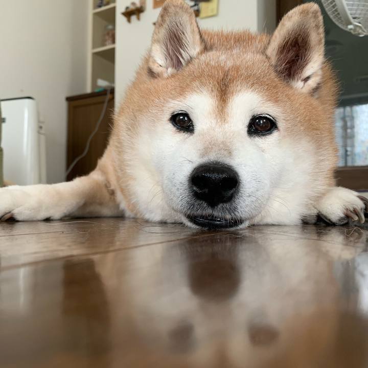 9701486c 3871 43e9 90b1 c49d0b22cf4f 1601778725018