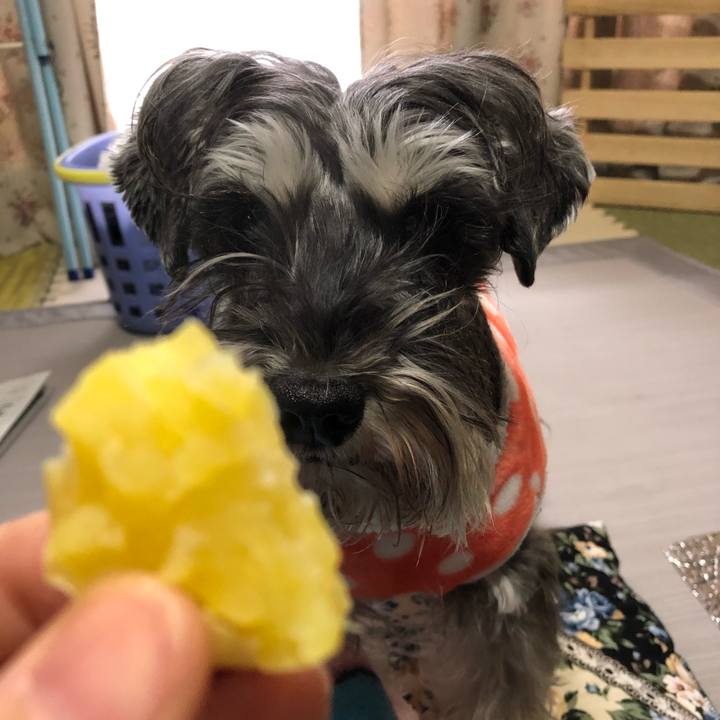 97017184 cd29 48de 806d 193b4cb10f4f 1581257218283