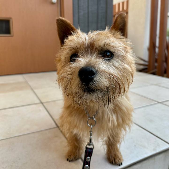 970188d9 42dc 465d aa8d 3a7e93d832f4 1745760290243