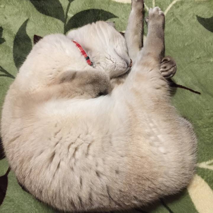 9701902d f95c 4bd5 989c ce9e89576dfd 1580822454690