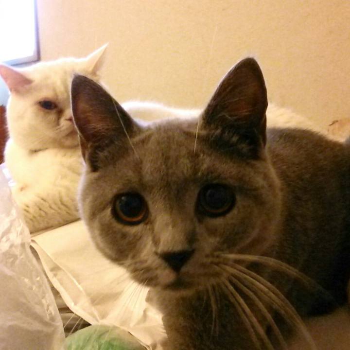 9701a3a7 42a3 4429 b520 041a01995828 1537828147451