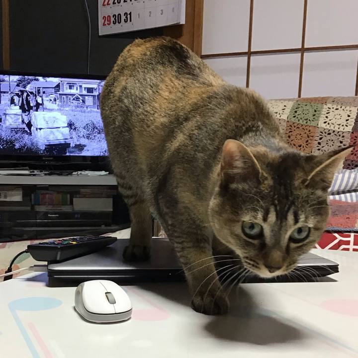 9701b9a5 d14b 41c8 956e 7b136156f9b3 1583630341623