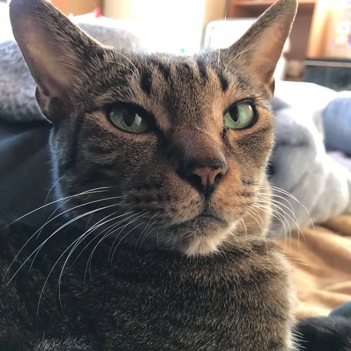 9701da2f e42b 42fa b20d c28ada5a3191 1515109541425