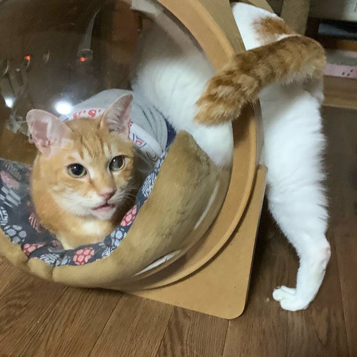 9701f8ee a8f8 4eaa 9a63 964e3bf1a65e 1617363576230