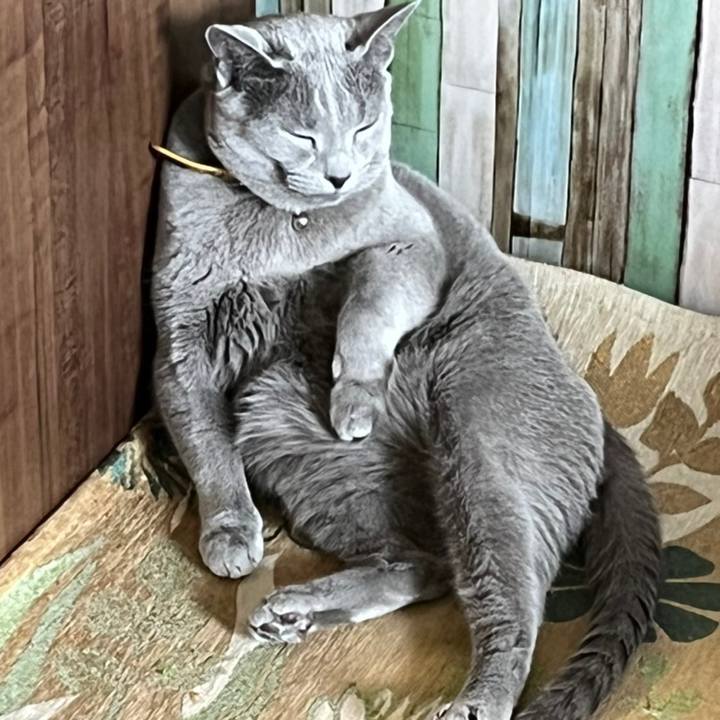 97020c33 7a56 45bf 83dc 0efa48e8dc59 1659149538076