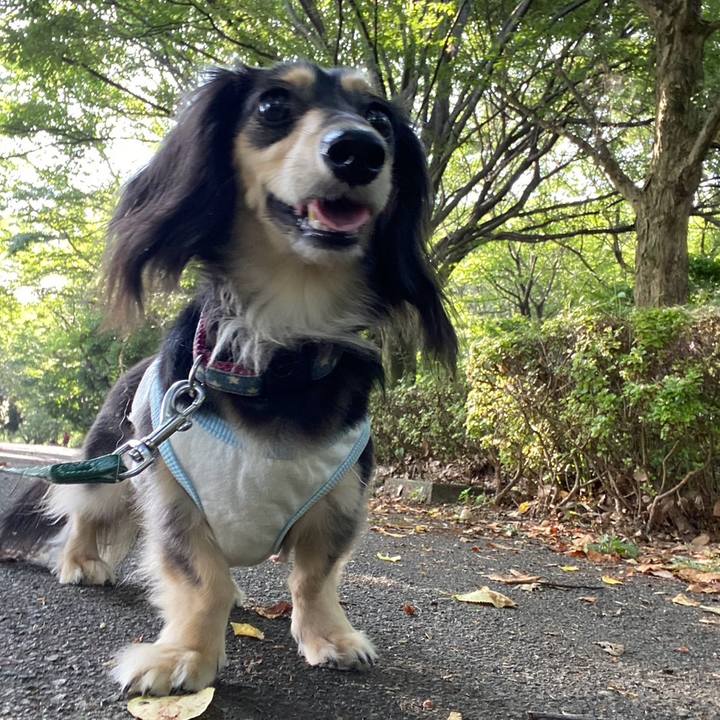 97022222 94a8 4905 81dc 7e06ebb0a2d1 1750499123516