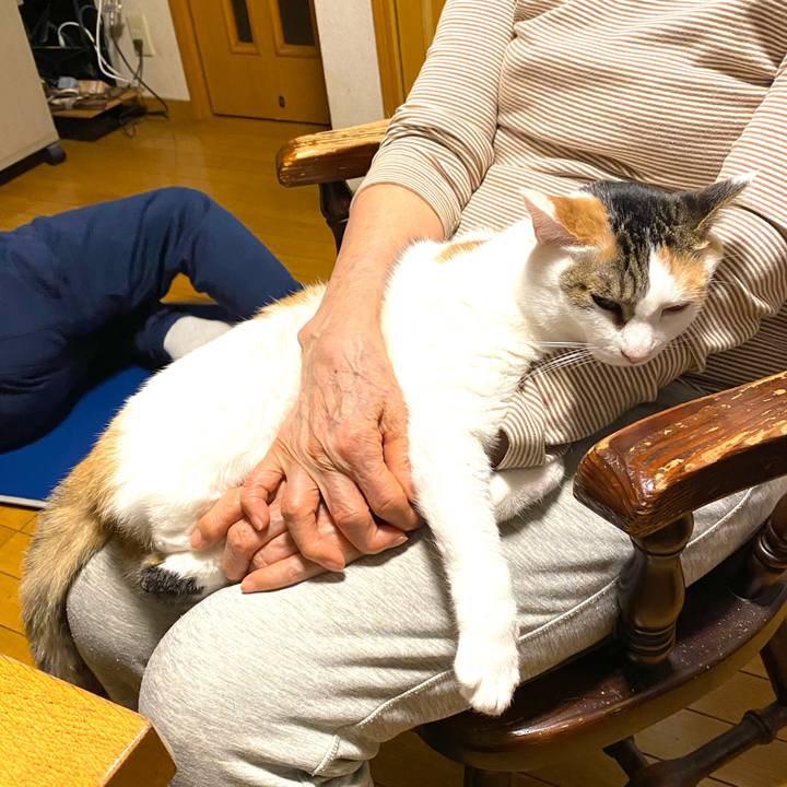 9702419a dde2 44c3 9338 170bf5662243 1772181853359