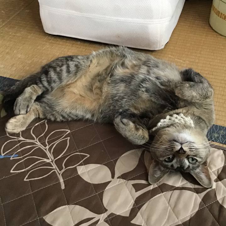 970250d4 b475 48c9 b589 c5072ded6ab2 1589859216481