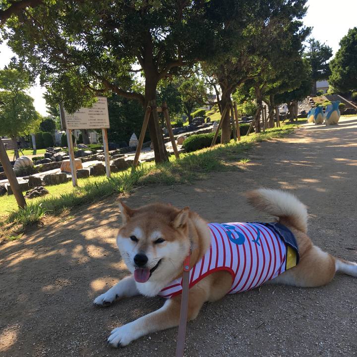 97026652 ad87 4db3 be4d 24063cfe480d 1564962388991