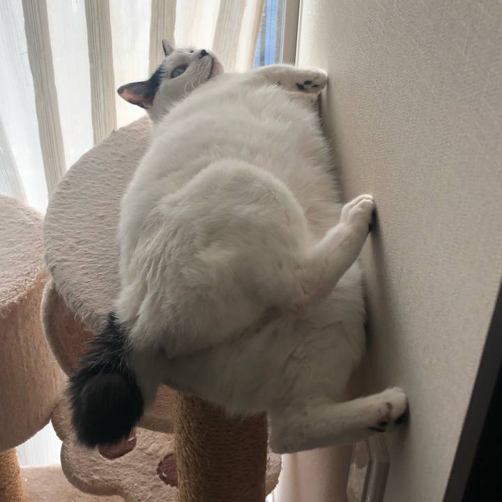 97028146 d4b2 4cc9 9228 cb53374ca3ee 1576386710931