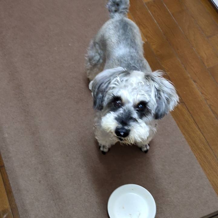 97029dbc dab0 426b 9b8a df63ac18a1a5 1749384760209