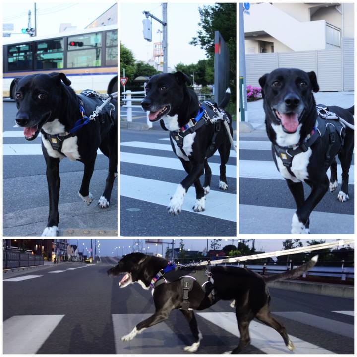 97029f1c 93ac 4739 b6ba 5ab1c5ba55ec 1651574838209