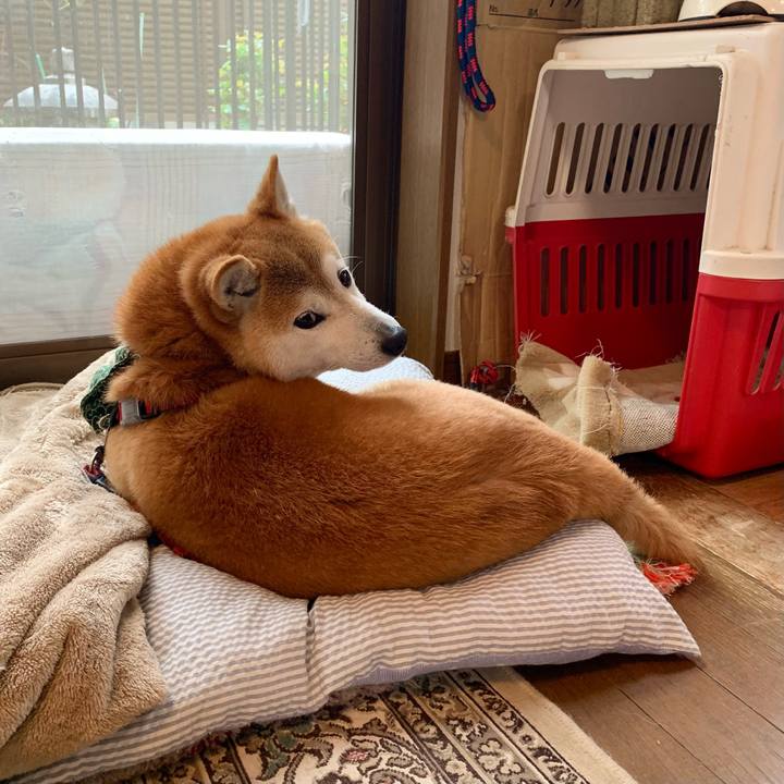 9702c662 795f 46a9 b4d9 be36352f0f2e 1650194292677