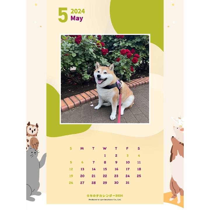 9702e305 e6d2 444a 8703 14b5687af231 1692508107564