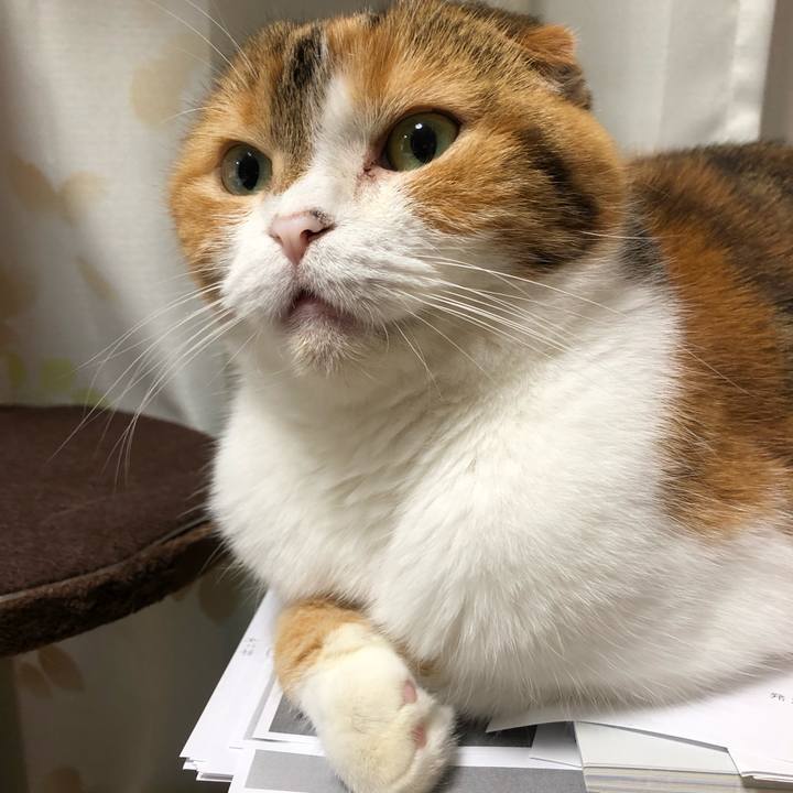 9702f1a9 6ef7 47c8 9c65 62064f99cb96 1629025562772