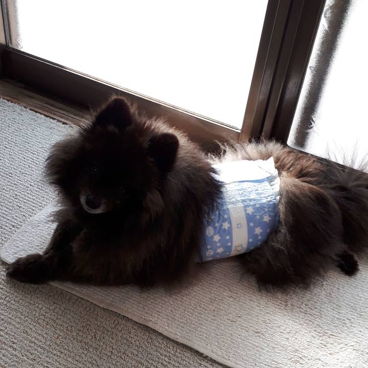 97030465 5118 4f9b b2e2 3d4a4482071a 1521760976570