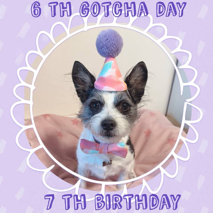 97030694 6d41 4ac0 b209 114eba6f1cb5 1708824907315