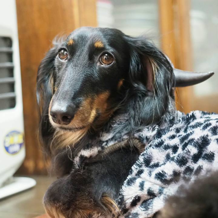 97030a23 82de 43c8 add9 2a984b6bf105 1546996796930