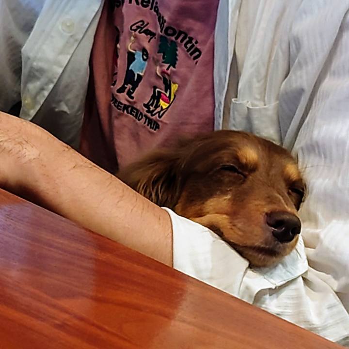 97031c5f 7829 41e7 94b7 619e3a13cb11 1630986180109