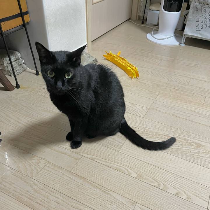 97036b3e cd59 4373 b531 810d040c3533 1717332650595